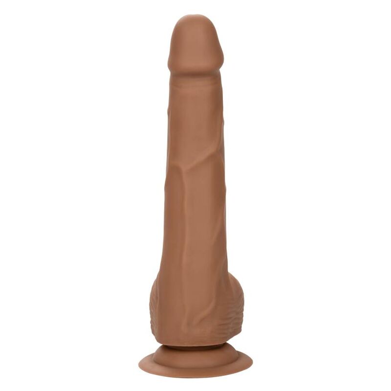 CALEXOTICS - SILICONE STUDS 20.32 CM BROWN - Imagen 9