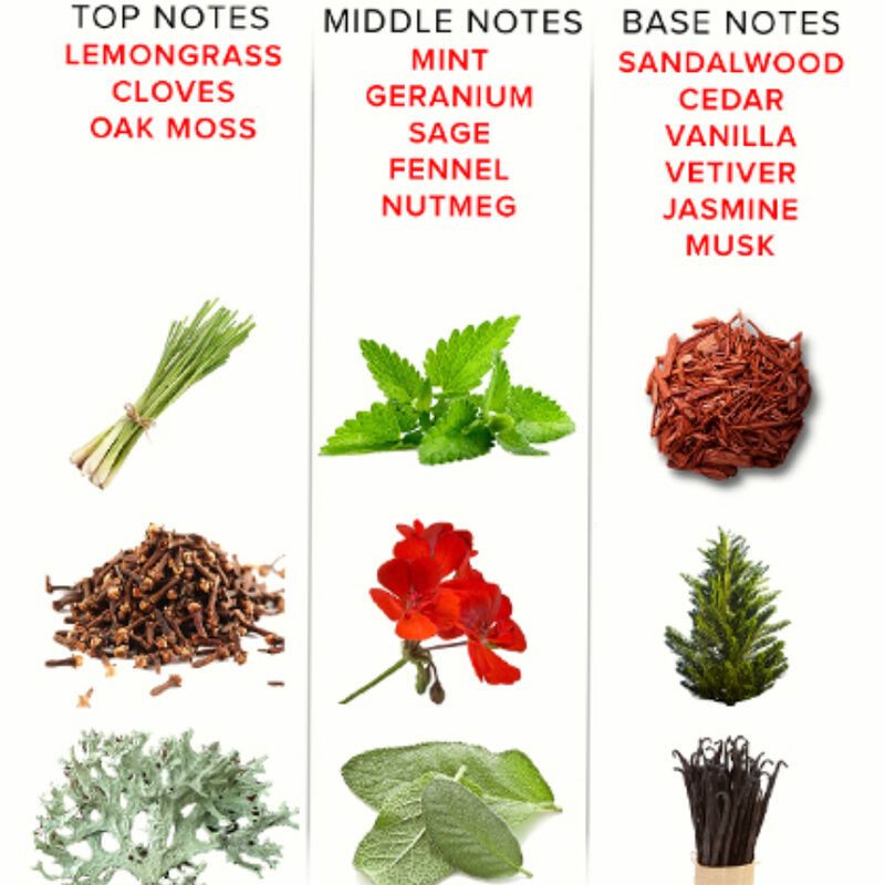 EYE OF LOVE - EOL PHR PERFUME DELUXE 50 ML - ROMANTIC - Imagen 5